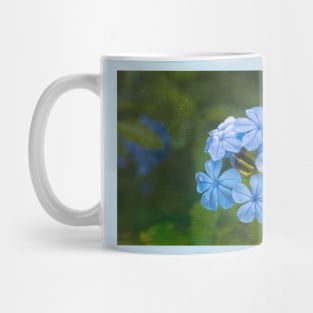 Plumbago Blue Mug